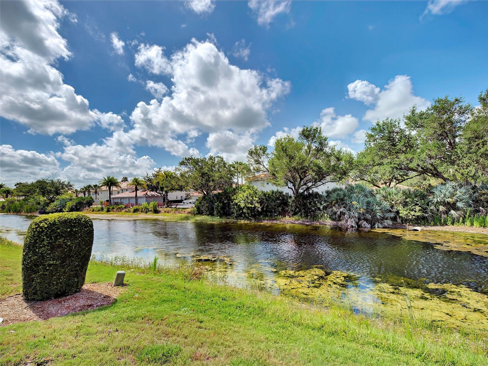 VISTA DEL LAGO - Residential