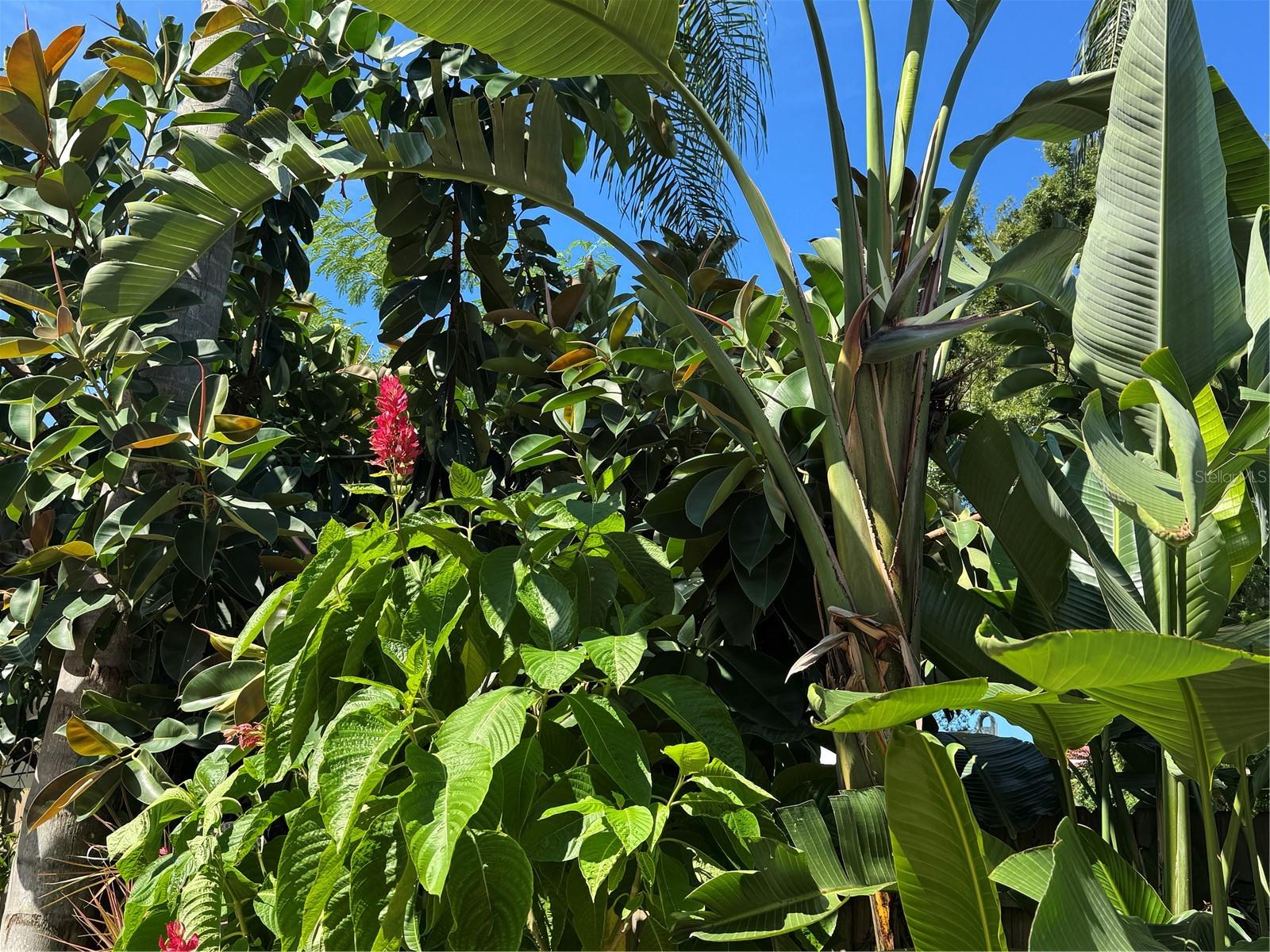 PASADENA ESTATES SEC F - Residential