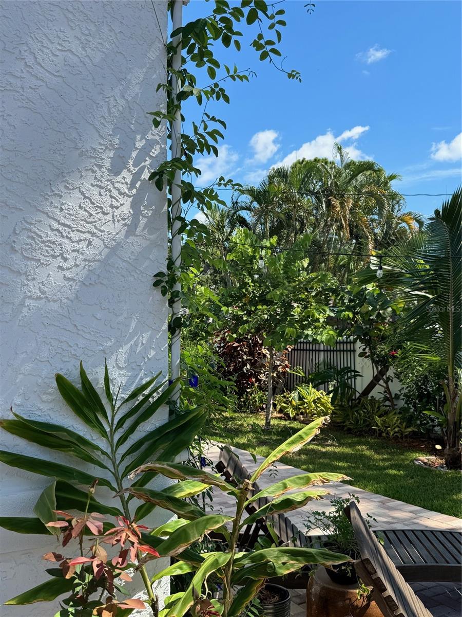 PASADENA ESTATES SEC F - Residential