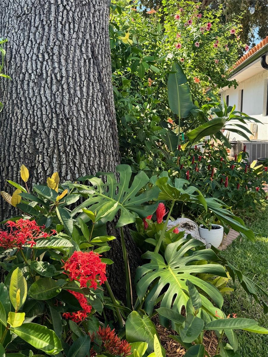 PASADENA ESTATES SEC F - Residential