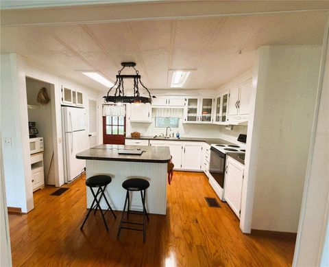 Tiny photo for 127 Royal Palm Drive, Leesburg, FL 34748 (MLS # R4911299)