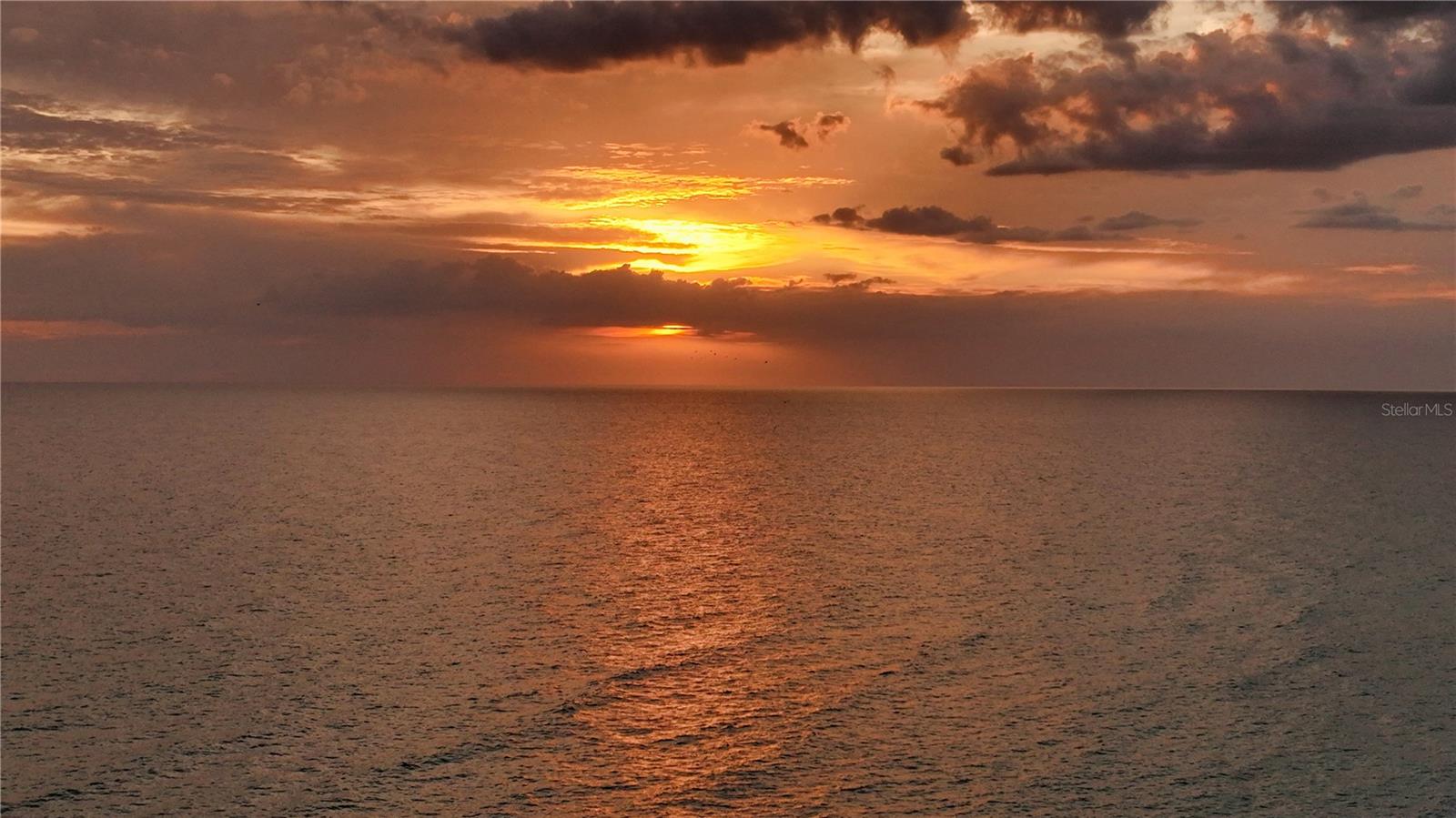 TORTOISE ESTATES - Residential Lease