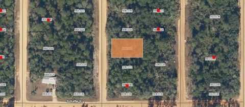 00 CREAGER AVENUE INTERLACHEN FL 32148