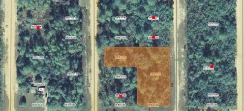 00 CREAGER AVENUE INTERLACHEN FL 32148