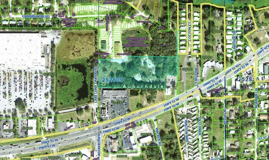 Photo of Abundant Life Drive, Auburndale, FL 33823 (MLS # P4935183)