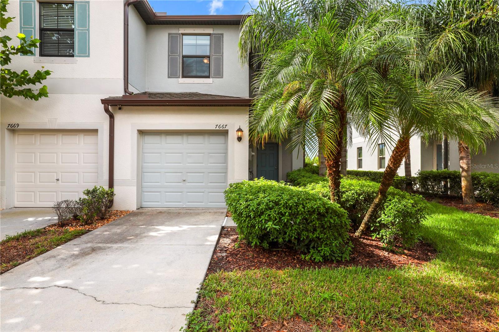 7667 GINGER LILY COURT