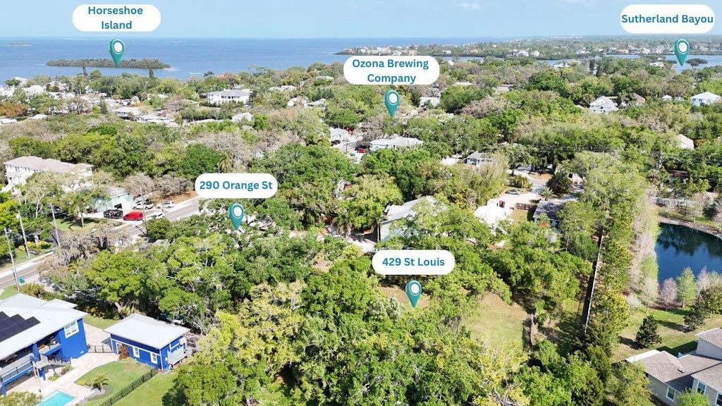 Photo of 290 Orange Street, Palm Harbor, FL 34683 (MLS # TB8490514)