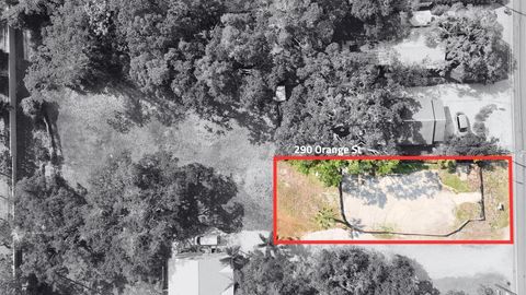 290 ORANGE STREET PALM HARBOR FL 34683