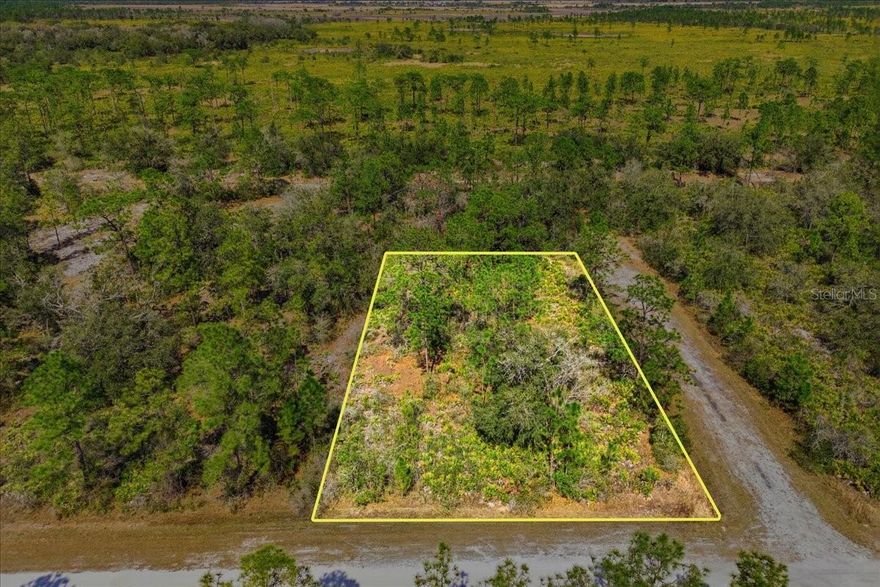 Want space, privacy, and access to one of Florida’s best fishing lakes? START HERE and build what fits your life! This ½-acre corner lot in the HOA community of Indian Lake Estates gives you room to build the home you actually want — not the squeezed-in version. Design a layout that works for you, add a garage or workshop, create real outdoor living space, and still have breathing room.  The community surrounds the 7,500-acre Lake Walk-in-Water, widely known for trophy bass fishing. Residents have access to a private boat ramp, marina, beach area, and the longest freshwater fishing pier in Florida. Early morning fishing runs, sunset boat rides, or weekends on the water can be part of your normal routine. Amenities include an 18-hole golf course, clubhouse, fitness room, tennis and basketball courts, café, pro shop, and more. Located about 20 miles east of Lake Wales, you’re roughly an hour to Walt Disney World and just over an hour to Tampa and Busch Gardens Tampa Bay — close enough for convenience, far enough for quiet nights and open skies. Whether you’re planning your forever home, a seasonal place in the sun, or a smart land investment in Central Florida, this lot gives you options. Walk the property, picture the layout, and make this lot the foundation for home today!