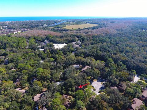 A home in PALM COAST