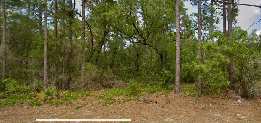 Excellent investment opportunity! In one of the hottest growing cities in Florida! Citrus Springs of Florida! An Extra large lot , 27,191 sq. ft. & .62 acres. Great location to build a multi-family & residential property. Requires sewer. This location gives you the opportunity to enjoy nature, biking, hiking and it is only minutes away from shops, restaurants, supermarkets and much more. Drive by to appreciate the area ! Call Listing Agent. This is a must see lot!!