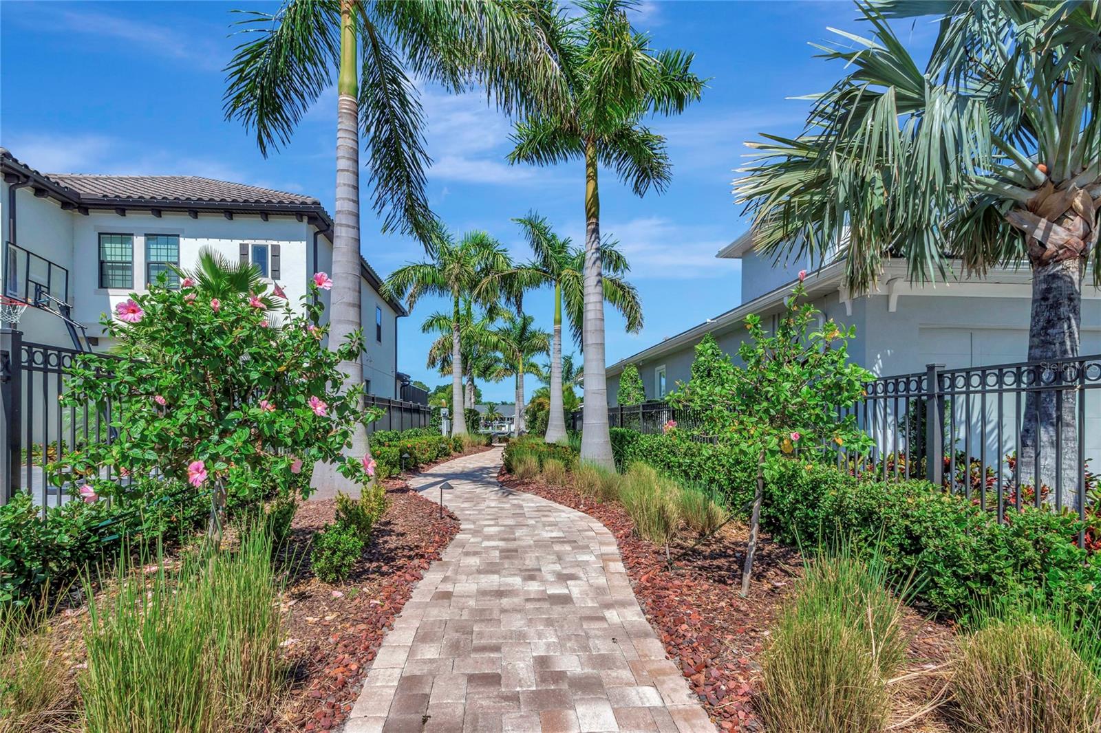 COVE/ROCKY POINT - Residential Lease