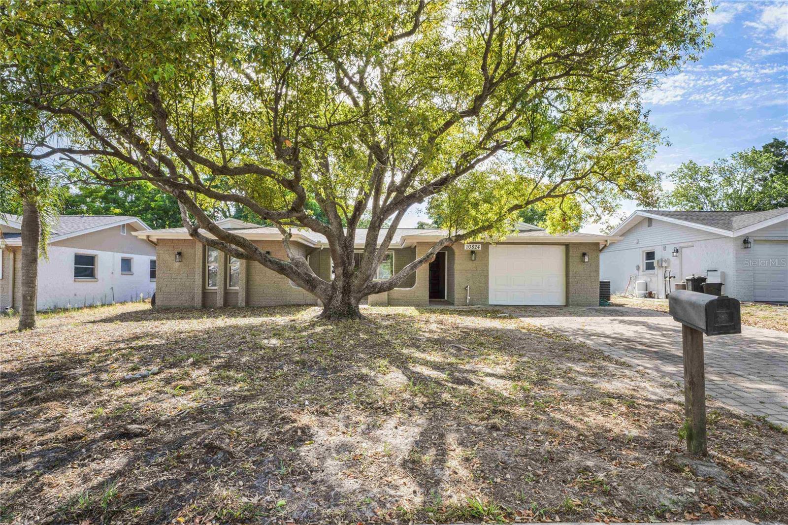 Welcome to 10824 Oldham Road, a beautifully remodeled 3-bedroom, 2-bath home in the sought-after Holiday Hill Estates community of Port Richey. Featuring 1,454 sq ft of thoughtfully updated living space, this home offers an open floor plan with new vinyl flooring, fresh paint inside and out, stylish fixtures, and a modern kitchen complete with new cabinetry and stainless-steel appliances. Outside, a fully fenced backyard and attached garage add both privacy and convenience, making it perfect for entertaining, pets, or everyday living. Located just minutes from US-19, you’re close to shopping centers, local dining, schools, and healthcare, with Gulf beaches, waterfront parks, and attractions like Werner-Boyce Salt Springs State Park and the Gulf View Square area only a short drive away. With a prime location in a welcoming neighborhood, this turnkey home delivers style, comfort, and everyday convenience all in one.