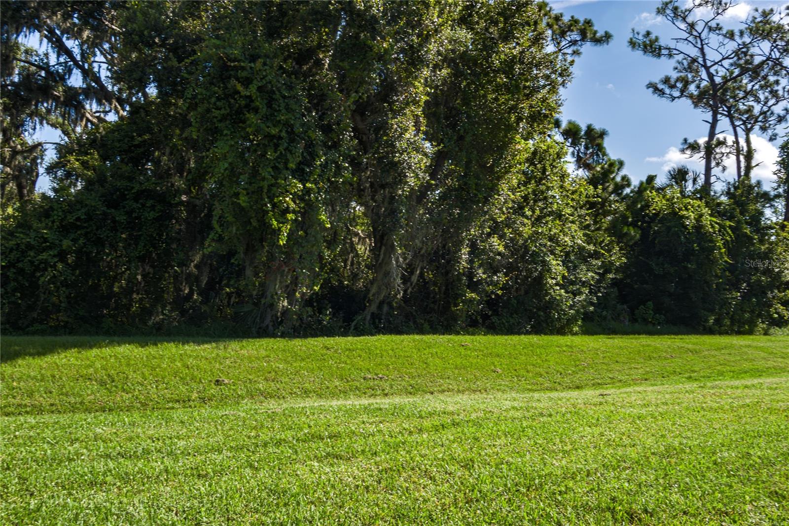 EAGLE TRACE PH III-A - Residential