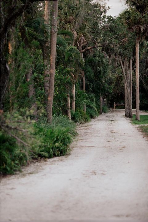 A home in PALMETTO