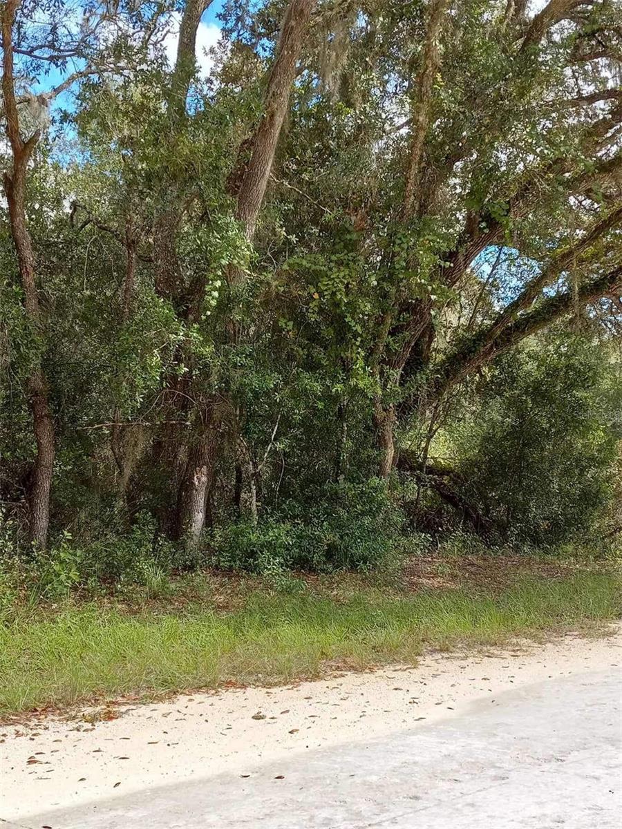 Very nice partially wooded residential vacant land in a corner lot in Ridge Manor Estates to build your dream home with no HOA!! Convenient to shopping, restaurants and close to I-75 to Tampa, Orlando and Ocala.