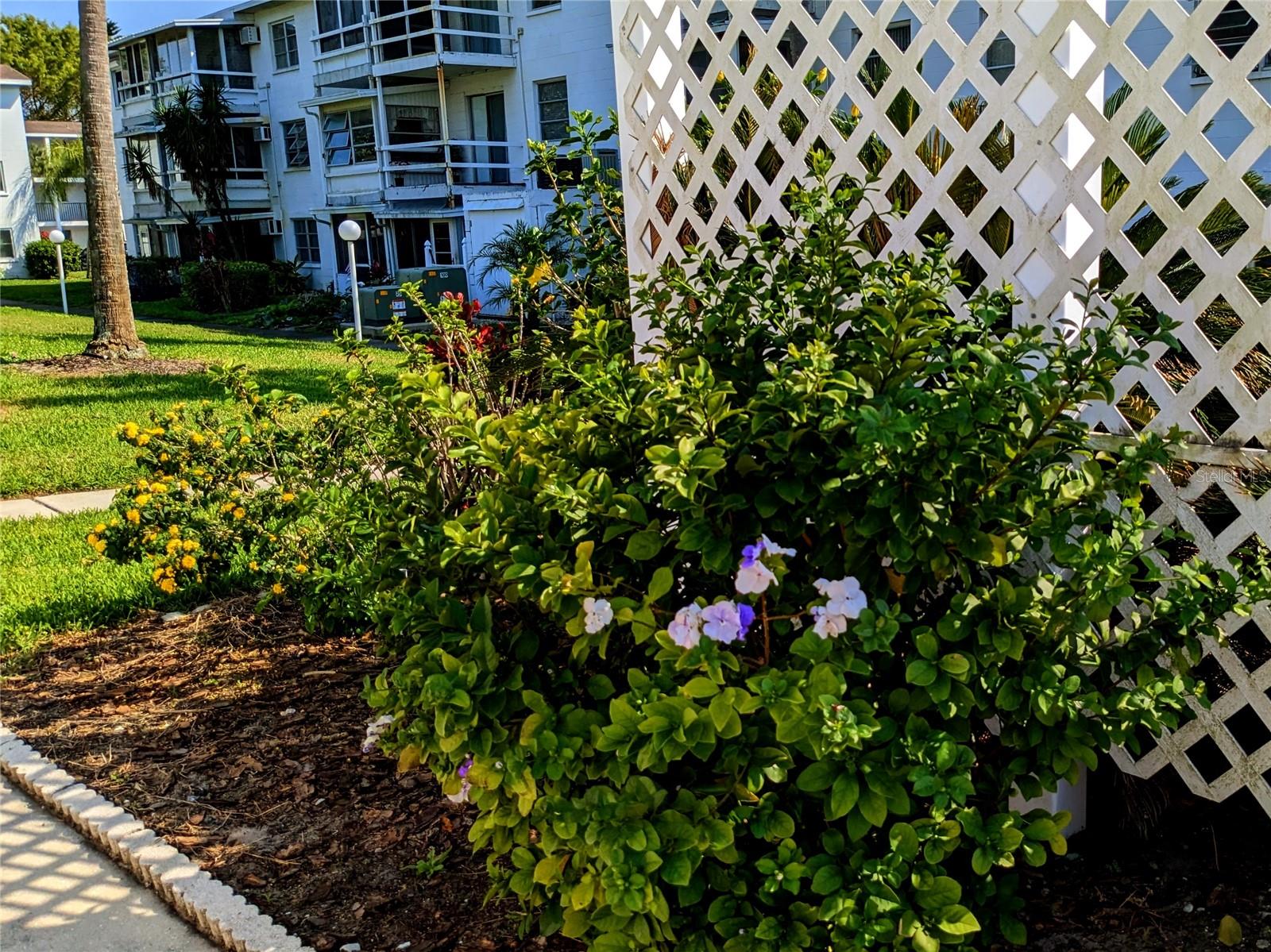 THE THIRD BAYSHORE - Residential Lease