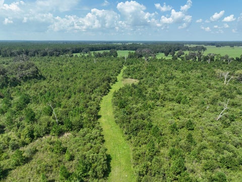 Tiny photo for Parcel C NW 160th Avenue, Morriston, FL 32668 (MLS # OM686161)