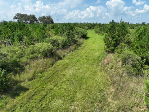 Tiny photo for Parcel C NW 160th Avenue, Morriston, FL 32668 (MLS # OM686161)