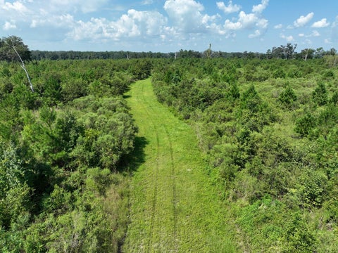 Tiny photo for Parcel C NW 160th Avenue, Morriston, FL 32668 (MLS # OM686161)
