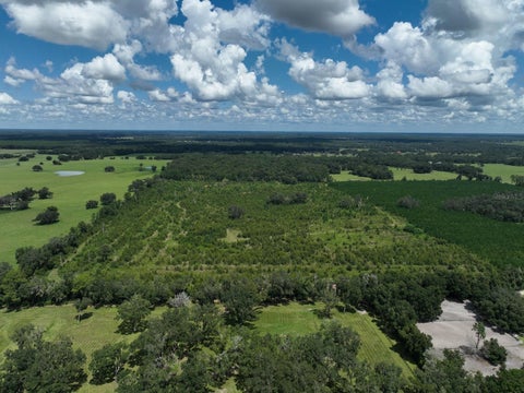 Tiny photo for Parcel C NW 160th Avenue, Morriston, FL 32668 (MLS # OM686161)
