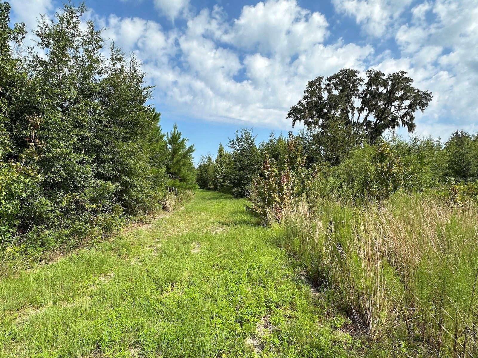 Parcel C NW 160TH AVENUE