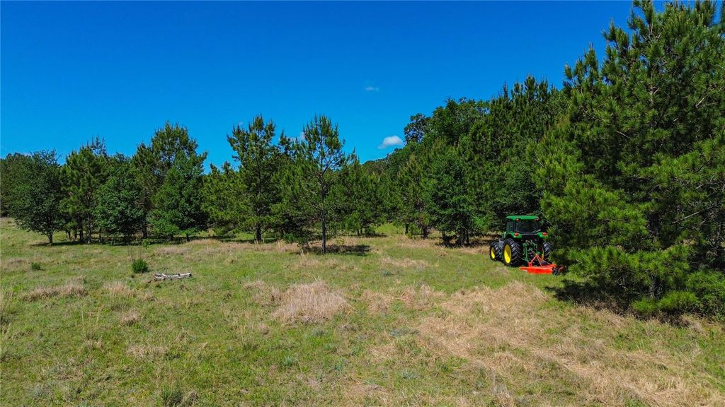 Photo of 6489 Quarterhorse Lane, Brooksville, FL 34604 (MLS # TB8504977)