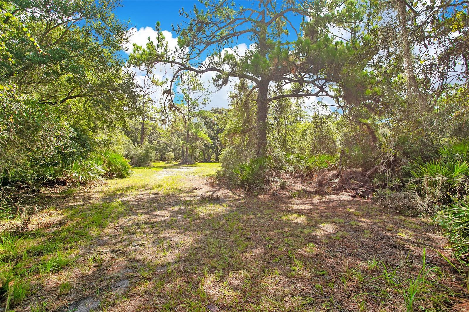 615 EDEN DRIVE
