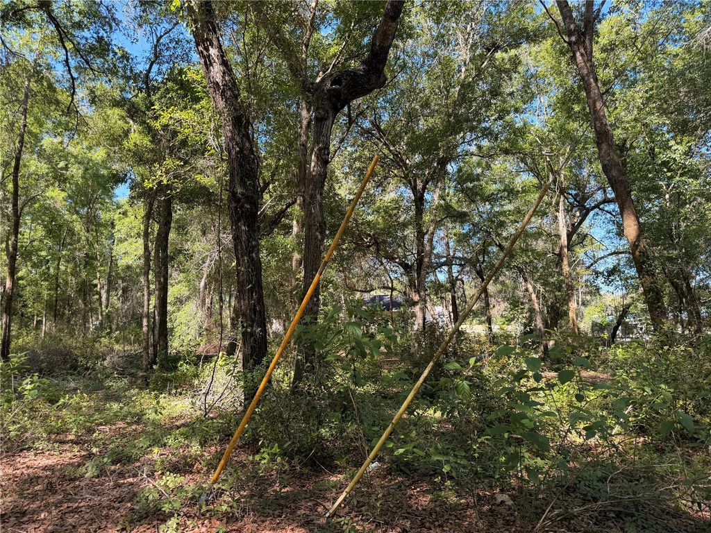 Photo of 10185 Creekfield Road, Brooksville, FL 34613 (MLS # TB8500853)