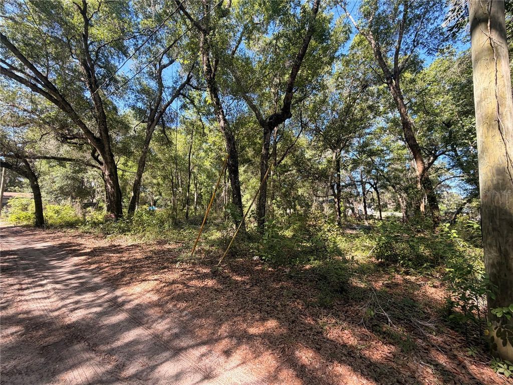 Photo of 10185 Creekfield Road, Brooksville, FL 34613 (MLS # TB8500853)