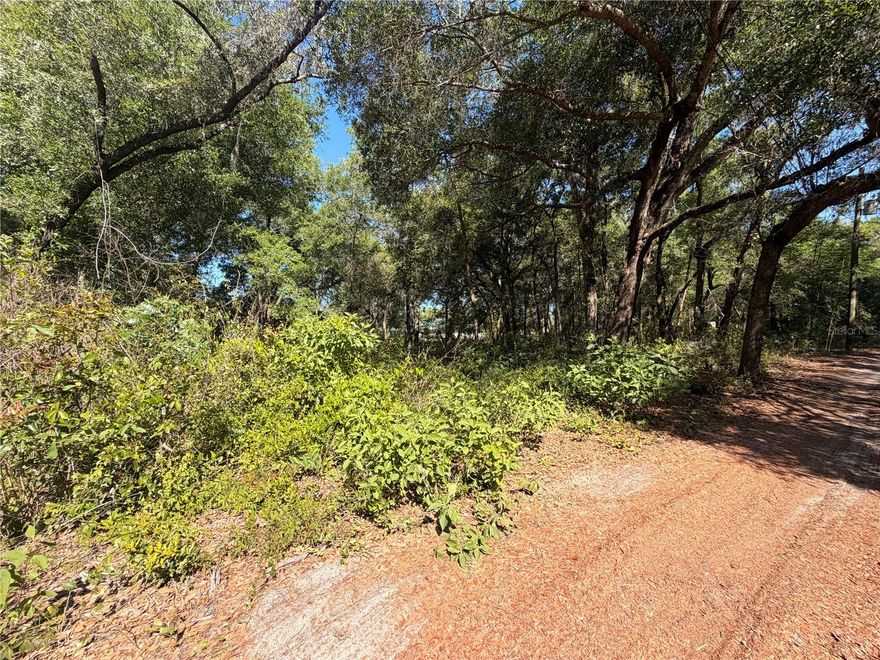 Build your dream home on this 0.50-acre lot in Hernando County. Zoned AR2, allowing for single-family or manufactured homes (buyer to verify with the county). Partially cleared with mature trees, offering privacy and flexibility. Dirt road access. No HOA. Conveniently located near Cortez Blvd and the Suncoast Parkway for easy access to shopping and dining.