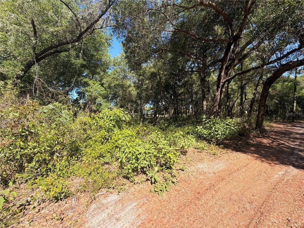 Photo of 10185 Creekfield Road, Brooksville, FL 34613 (MLS # TB8500853)