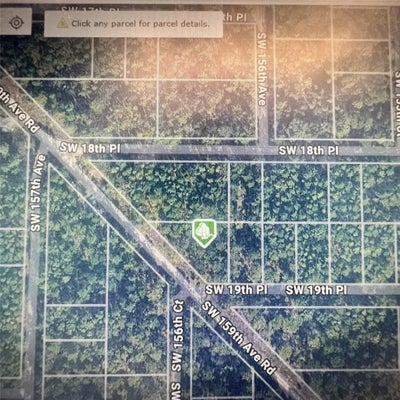 SW 159TH AVE, OCALA, FL 34481 - Image 51207c4bbbce3a6cc5deeaa887e9c261/1376864128
