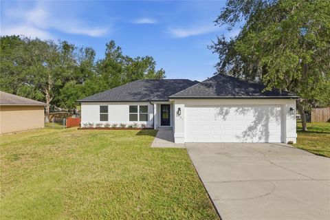 8931 SE 156TH STREET SUMMERFIELD FL 34491