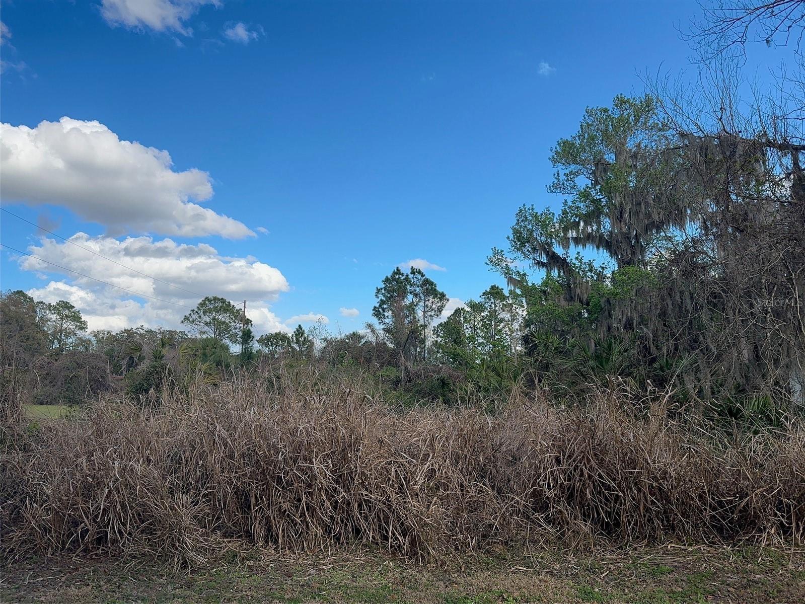 ACREAGE & UNREC - Land