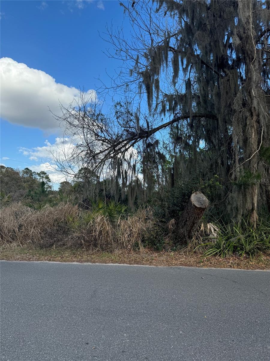 ACREAGE & UNREC - Land