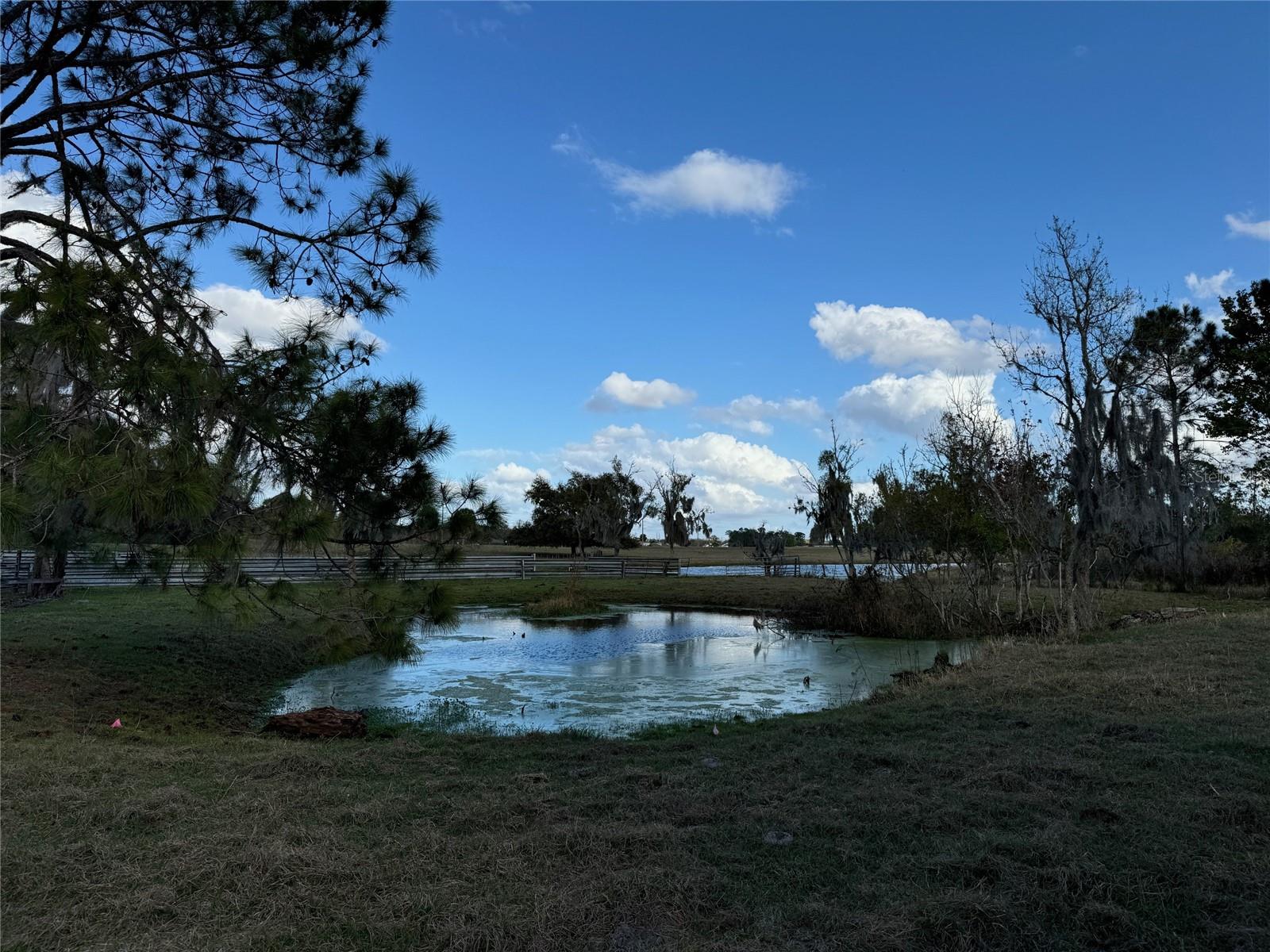 ACREAGE & UNREC - Land