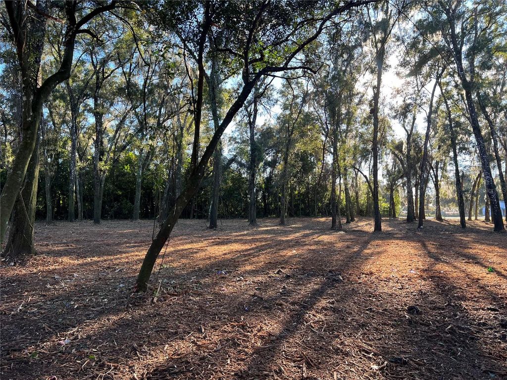 Photo of 18376 Us Hwy 301, Dade City, FL 33523 (MLS # TB8476626)