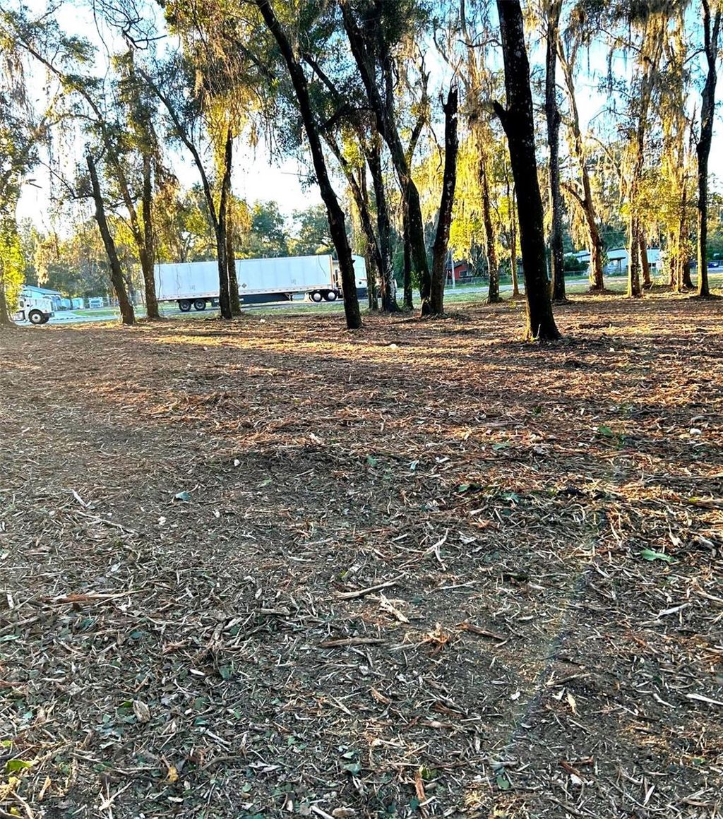 Photo of 18376 Us Hwy 301, Dade City, FL 33523 (MLS # TB8476626)