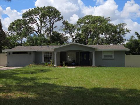 12906 N 53RD STREET TEMPLE TERRACE FL 33617