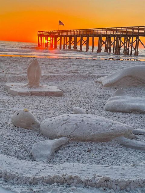 A home in REDINGTON BEACH