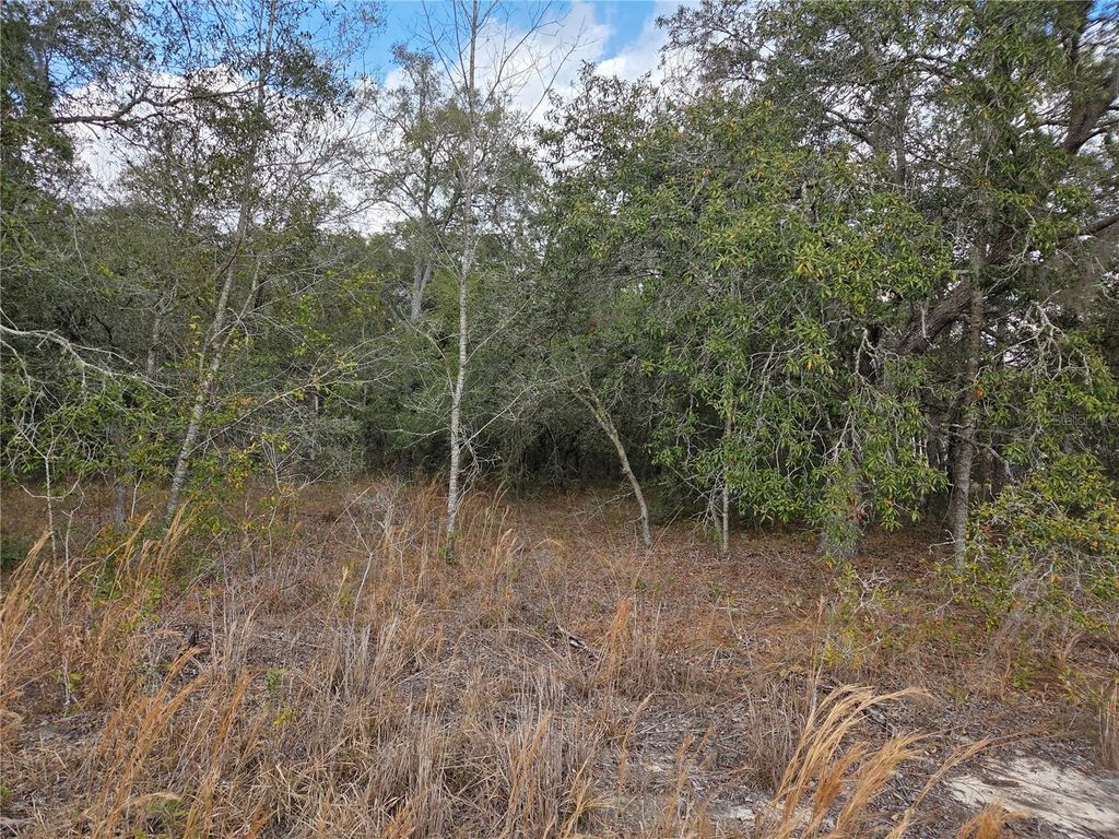 Photo of 21531 SE 68th Lane, Morriston, FL 32668 (MLS # OM718774)