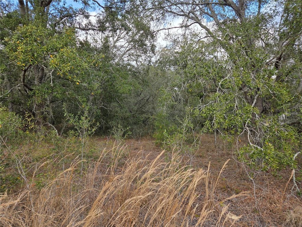 Photo of 21531 SE 68th Lane, Morriston, FL 32668 (MLS # OM718774)