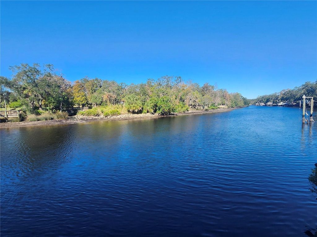 Photo of 7224 N Ola Avenue, Tampa, FL 33604 (MLS # W7872186)