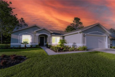 A home in PALM COAST