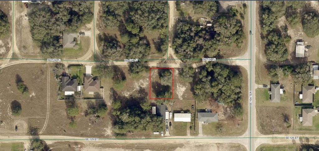 Photo of 4505 SE 124 Lane, Belleview, FL 34420 (MLS # A4669851)