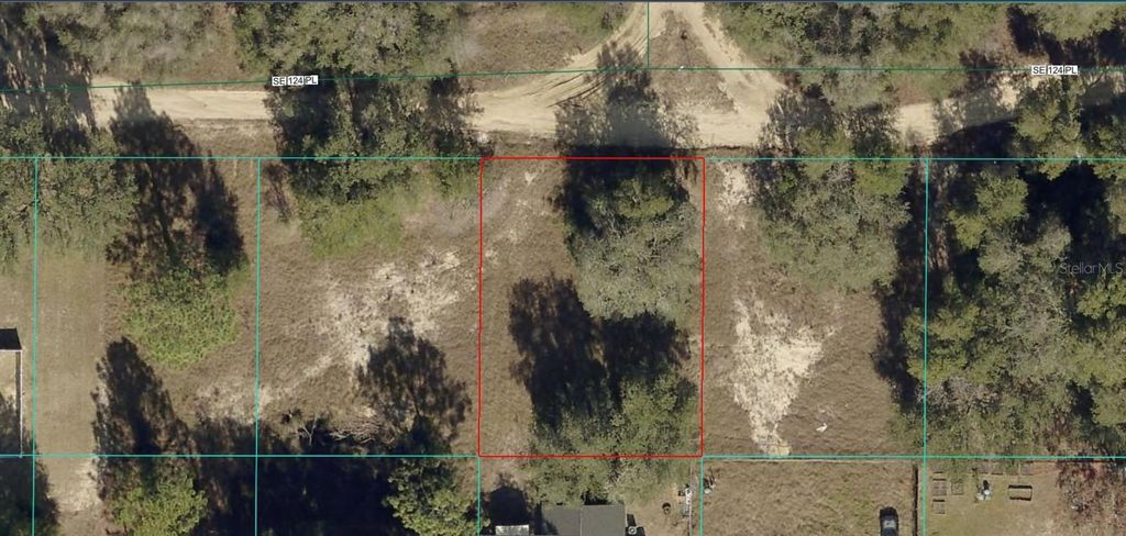 Photo of 4505 SE 124 Lane, Belleview, FL 34420 (MLS # A4669851)