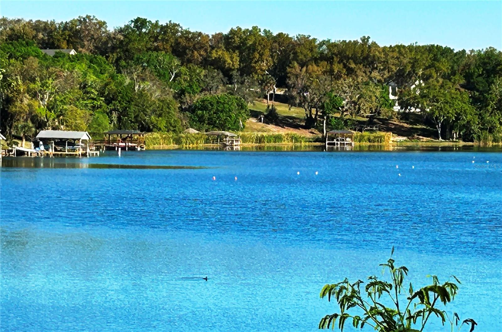 MONTVERDE MAGNOLIA TERRACE PH 02 LT 01 - Land