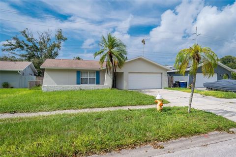 A home in CLEARWATER