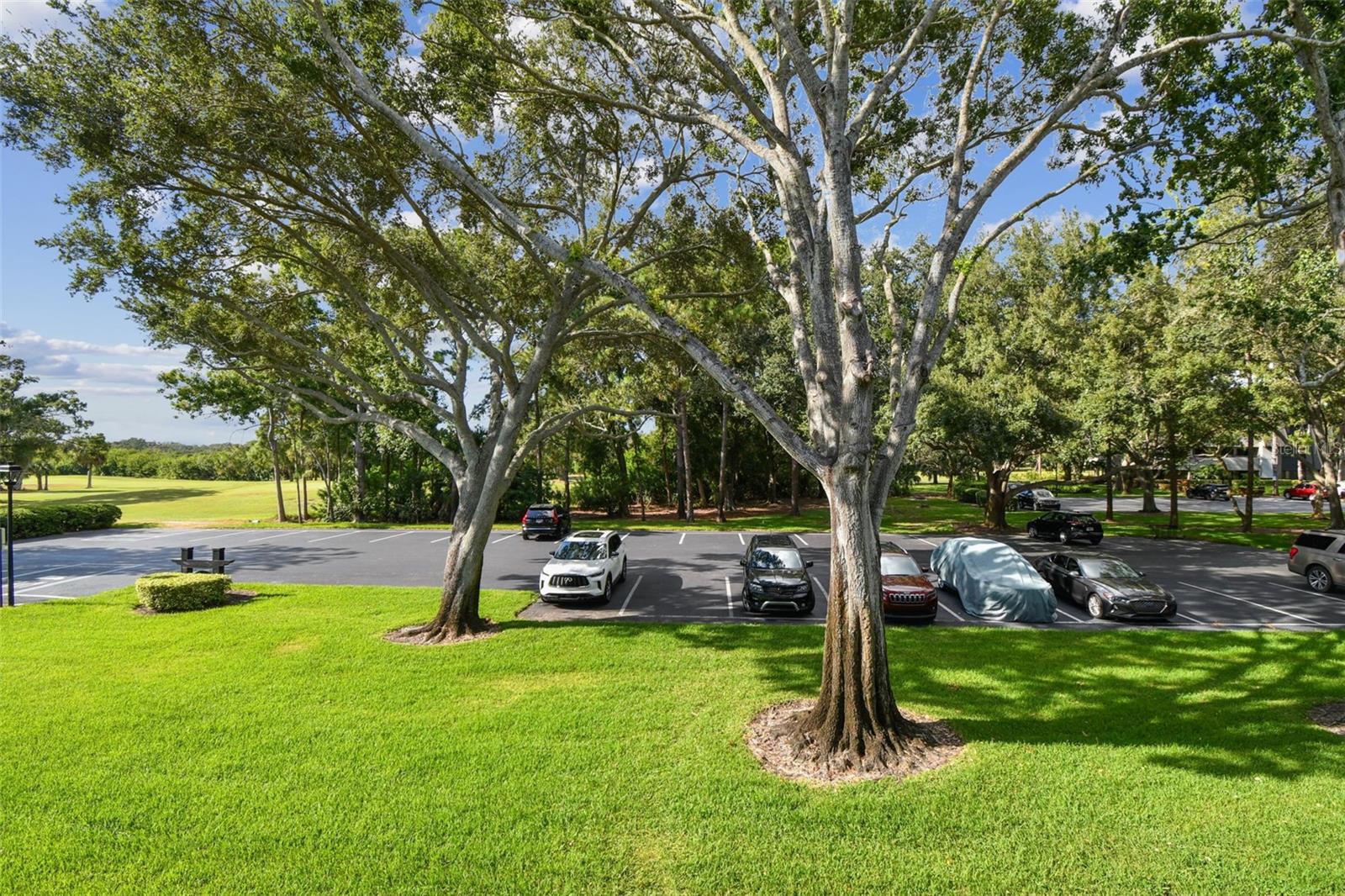 INNISBROOK 17 CONDO - Residential